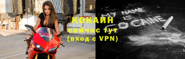 дурь Ладушкин